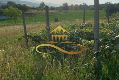 Teren agricol extravilan de 7100 mp, în Boșoteni