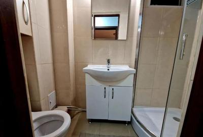 Vanzare garsoniera renovata 2021| bloc reabilitat 2013 | Tineretului - Dimitrie - 9