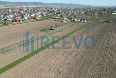 Teren de vanzare, Com. Nicolae Balcescu, Jud. Bacau - 4