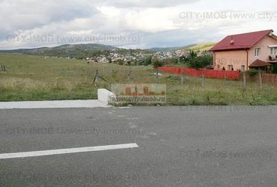 Teren Construcții intravilan de 500 mp, în Ocnița - 1