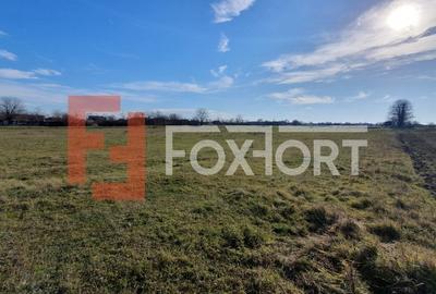 Teren intravilan 665 mp cu Puz aprobat - Padureni - 3