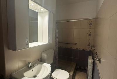 Garsonieră decomandată, mobilată în Aradului - 9