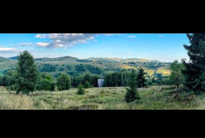 Teren de 1000 mp, în Muntele Băișorii - 1