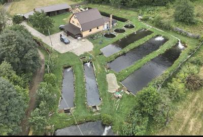 Spațiu comercial, în Breaza - 2