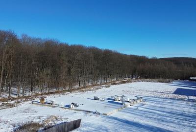 Teren Construcții intravilan de 9850 mp, în Dragomirna - 4