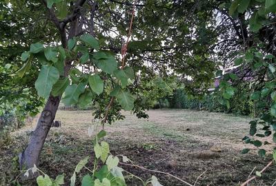 Teren în Boldești - 6