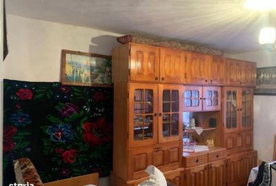 Casă cu 3 camere cu Teren 7600 Mp în Putna - 7