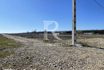 Teren de 543 mp, în Nojorid - 3