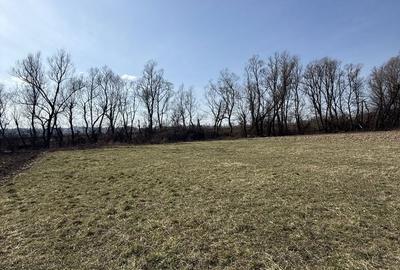 Teren de 6000 mp, în Bizușa-Băi - 5