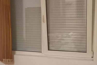 Garsonieră decomandată în Băile Herculane - 9