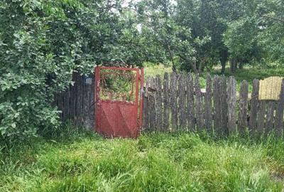 Casa si teren, loc Dragalina, Jud. Calarasi-03.03 - 6