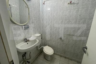 Spatii comerciale + Apartament, 313mp, zona Semicentrala - 5