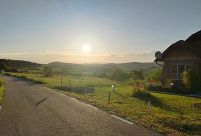 Spațiu comercial, în Aghireș - 1