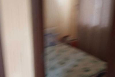 Apartament cu 2 camere decomandat în Giarmata - 2