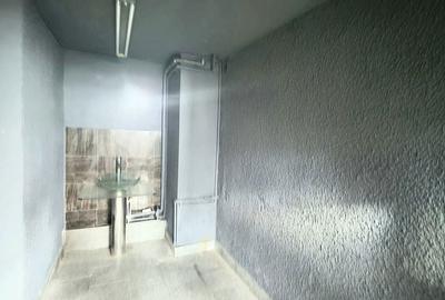 Spațiu comercial, de 190 mp, în Tătărași