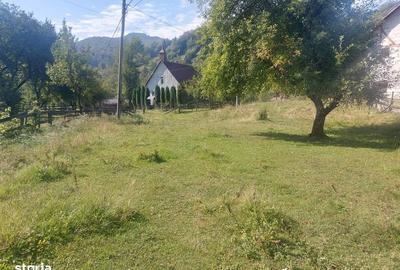 Teren de 1784 mp, în Avram Iancu - 5