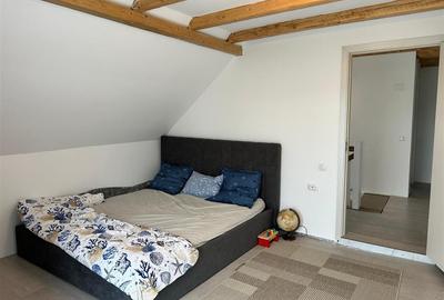 Casă individuală cu 5 camere cu Teren 3029 Mp în Drajna de Sus - 13