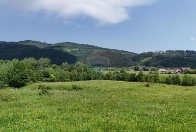 Comision 0% | Teren intravilan cu izvor | 2,730mp | Zarnesti | - 8