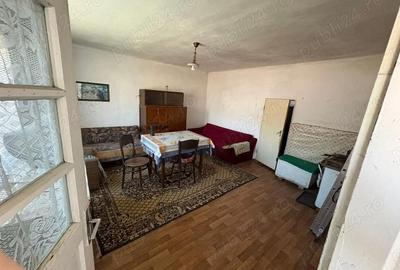 Casă cu 4 camere cu Teren 1250 Mp în Valea Crișului - 7