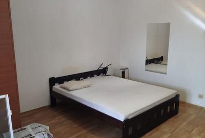 Garsonieră în Costin Georgian - 12