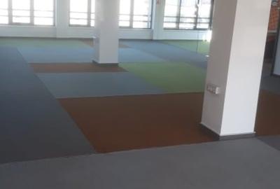 2 spatii de inchiriat - 10