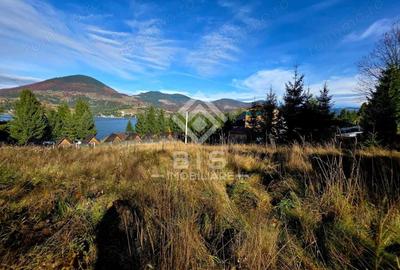 Teren de vanzare 12 ari - COLIBITA - 8