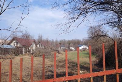 Teren de 500 mp, în Izvorani - 3