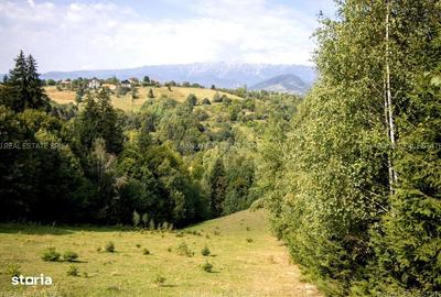 Teren de 10131 mp, în Bran