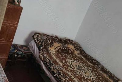 Casa de vanzare, jud. Teleorman - 5