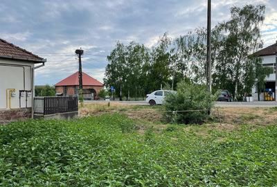 Casă cu Teren 4442 Mp în Viile Apei - 6
