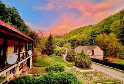 Teren pentru investitii 11.000 mp - 3