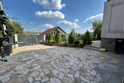 VILA CU 5 CAMERE, 150 MP UTILI, BECI, GARAJ, 717 MP TEREN, VISAN-BUCIUM - 10