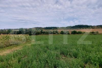 De vanzare teren Fundatura 27500mp - intravilan - 2