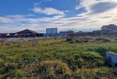 Teren de 800 mp, în Frumușeni