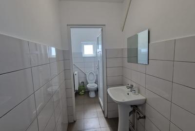 Hala industriala, 600mp, Carcea, zona Ford - 6