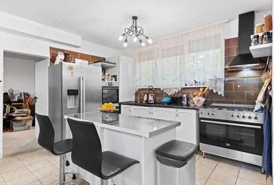 Snagov - str Zorelelor | vila 5 camere - acces lac - gradina privata - 7