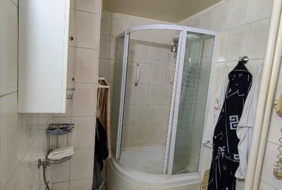 Romana 2Camere open-space, priveliste, linistit - 11