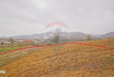 Spațiu comercial, în Central - 1