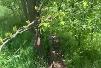 Teren Construcții intravilan de 500 mp, în Găneasa - 5