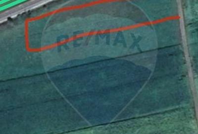 Teren agricol extravilan de 3500 mp, în Ilișești - 6