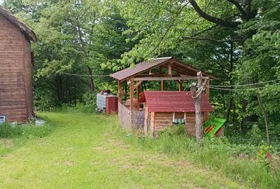 Casă cu 2 camere în Sibișel (Beriu) - 1