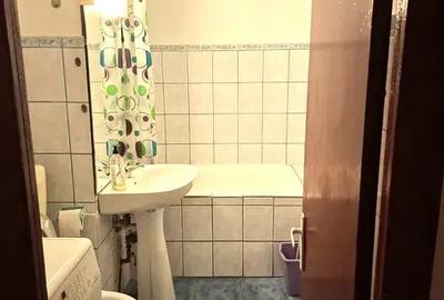 Apartament cu 2 camere semidecomandat, mobilat în Bucovina - 7