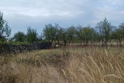 Casă cu 2 camere cu Teren 3100 Mp în Diculești - 7