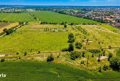 Teren de 3900 mp, în Clinceni - 3