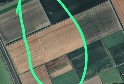 Spațiu comercial, în Costi - 4