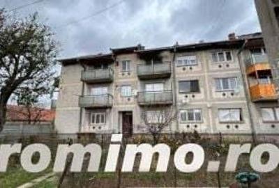 Cota 1/2 ap 2 camere Barastii Hategului, jud. Hunedoara - 7