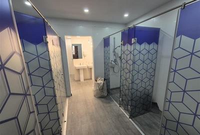 Spatiu de birou sau sala de sport/dans/pilates - ultracentral - 170 mp - 8