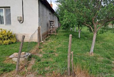 Casă cu 3 camere cu Teren 2877 Mp în Bethausen - 1