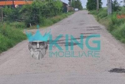 Teren agricol extravilan de 5000 mp, în Păulești