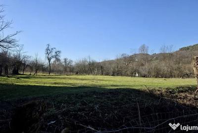 Teren de 4549 mp, în Gura Vitioarei - 1